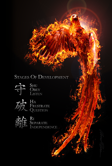 American Institute of Kenpo Fun Facts, Phoenix, Stages of Development